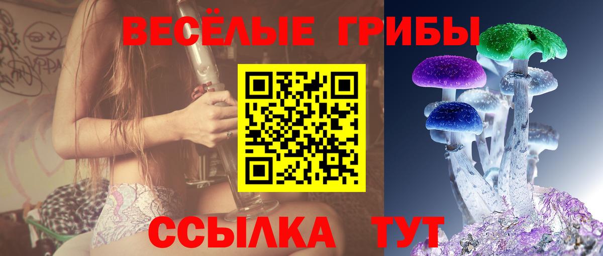Омск  Галлюциногенные грибы Magic Shrooms  Вход с VPN  Псилоцибиновые грибы Psilocybine cubensis 